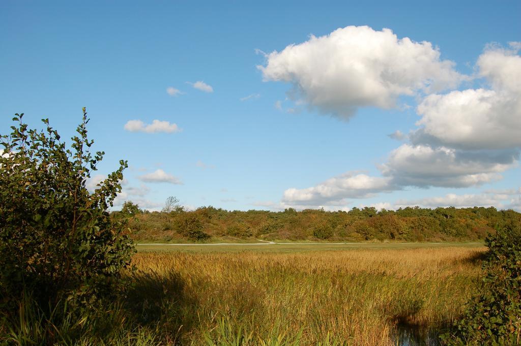 Hotel Graaf Bernstorff Schiermonnikoog Luaran gambar
